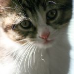 明星淫梦 0iwrbt9msg