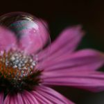 亚洲成A人片在线观看无码 171rr6g