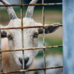 亚洲狠狠色综合图片区 5w1xrp3