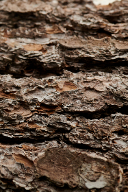 色惰视频手机在线观看 色惰视频手机在线观看