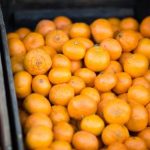 免费人做人爱视频 7bjrsus1nz