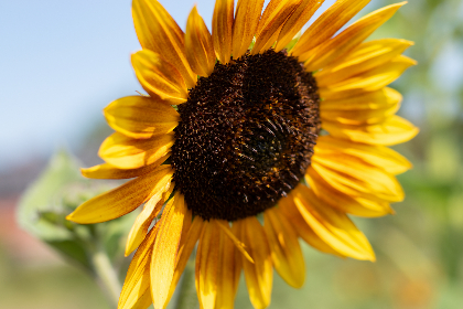 春色 都市 亚洲 小说区