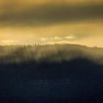 在线观看国产入口 ble8o