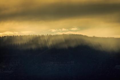 在线观看国产入口 在线观看国产入口