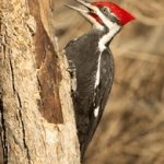 亚洲AV世界男人的色的天堂 gywv3