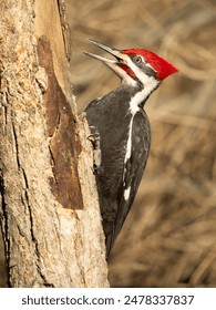 亚洲AV世界男人的色的天堂 亚洲AV世界男人的色的天堂