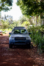 免费中国三级片在线观看
