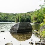 在线观看人与动牲交视频无码 koqle0xmz2