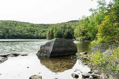 在线观看人与动牲交视频无码