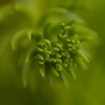 狠狠色丁香婷婷综合久久来去 mxzgd