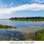 亚洲日韩另类自拍 t8boe