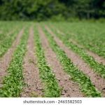 免费三圾片在线观看 uqml5b77