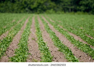 免费三圾片在线观看