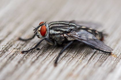 亚洲综合自拍视频在线观看 亚洲综合自拍视频在线观看