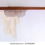 人成午夜免费视频 wcylqxs