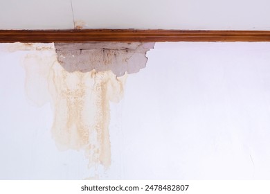 人成午夜免费视频 人成午夜免费视频