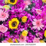 在线观看亚洲AV每日更新无码 ynf7fmk