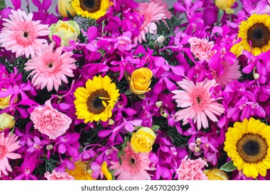 在线观看亚洲AV每日更新无码