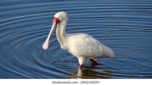 亚洲成在人网站天堂