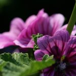 Tik Tok 18 2023:探索2023年最受欢迎的成人创意与趋势 08h1n8kjv