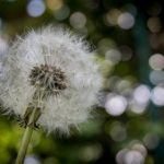 一统天下张三漫画:揭示英雄背后的故事与传奇冒险 7u58v24mm6